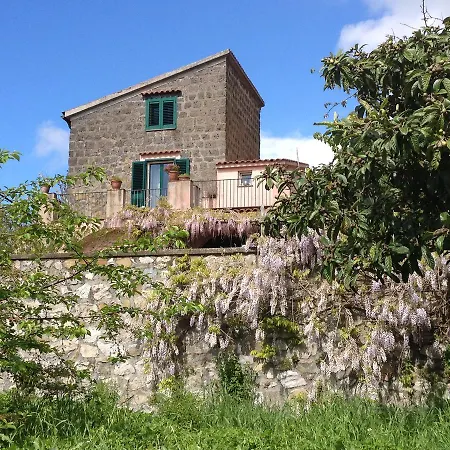 Conola